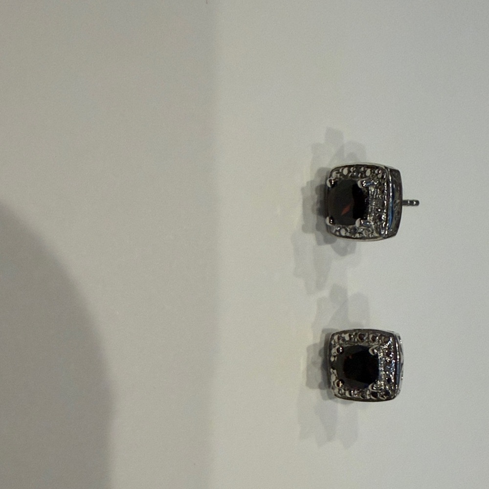Elegant Black and Silver earrings